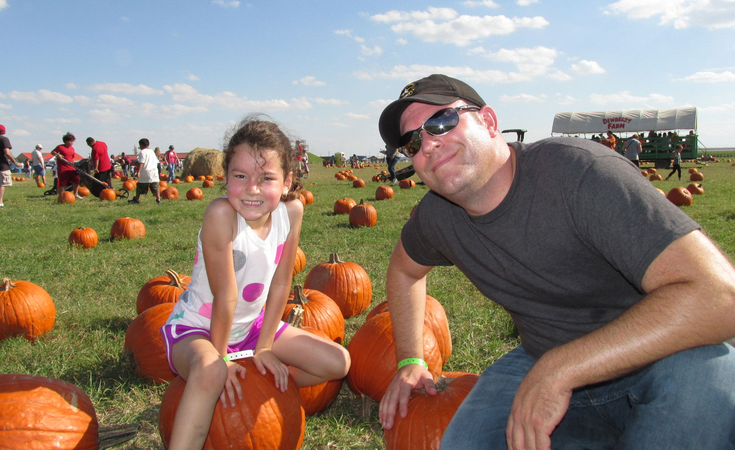 Pumpkin Patch